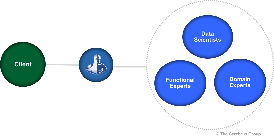 cerebrus-expert-network