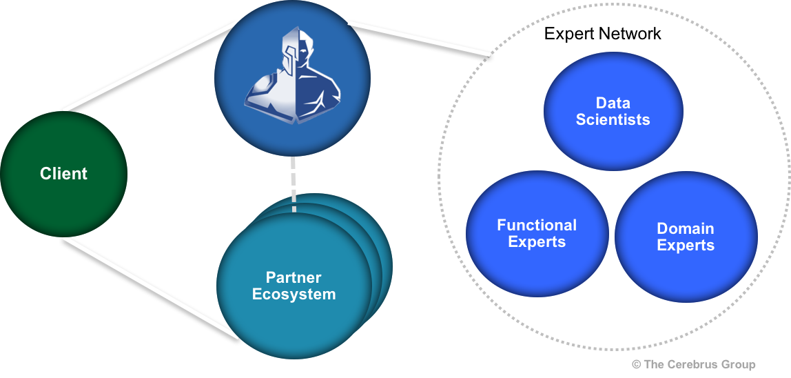 cerebrus-network